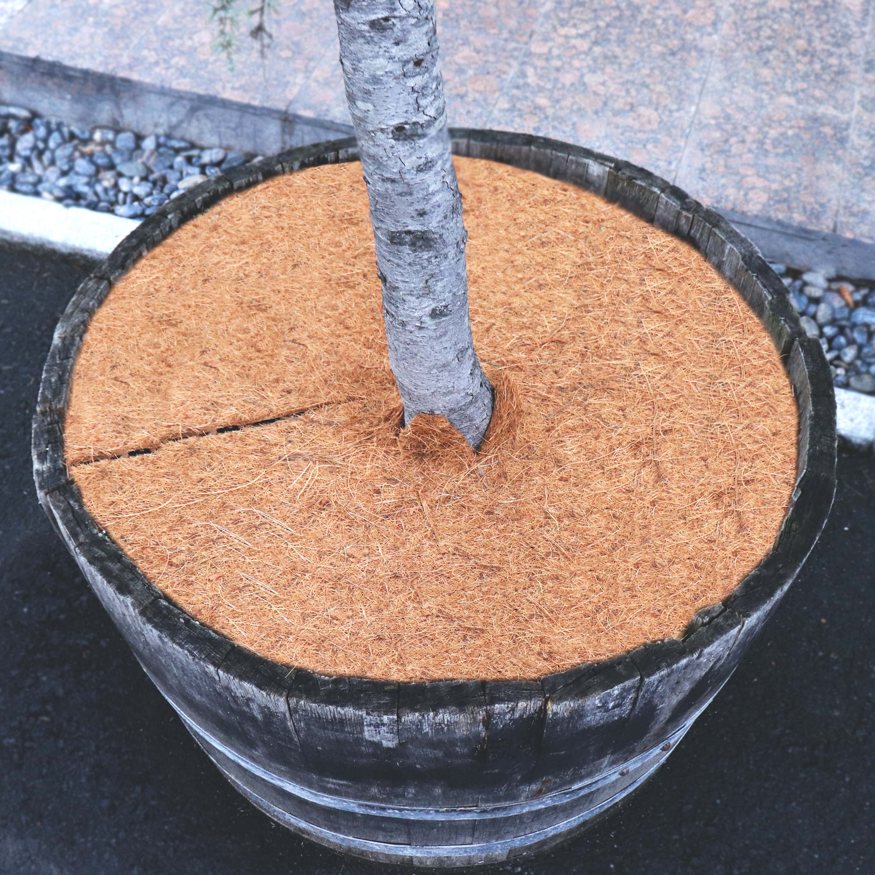 4 Kokos Mulchscheiben 60cm Kokofasermatte Kokosfaser Pflanzenschutzmatte Kokos - Image 5