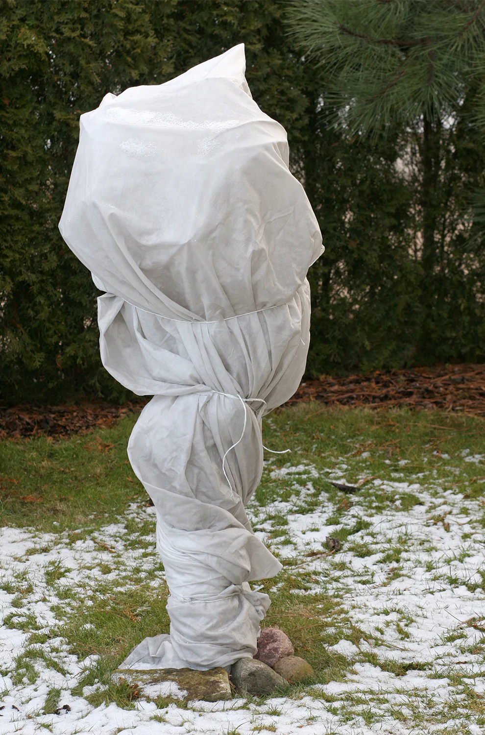 Winterschutzvlies Wintervlies Frostschutz 80g 1,4m breit - Image 26