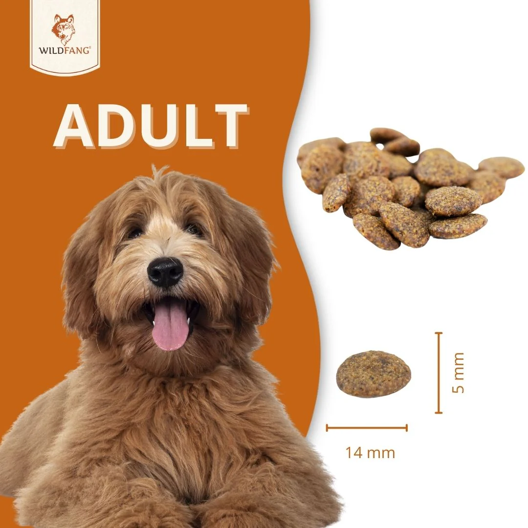 Adult Trockenfutter mit Huhn & Kräuter - getreidefrei - Image 7