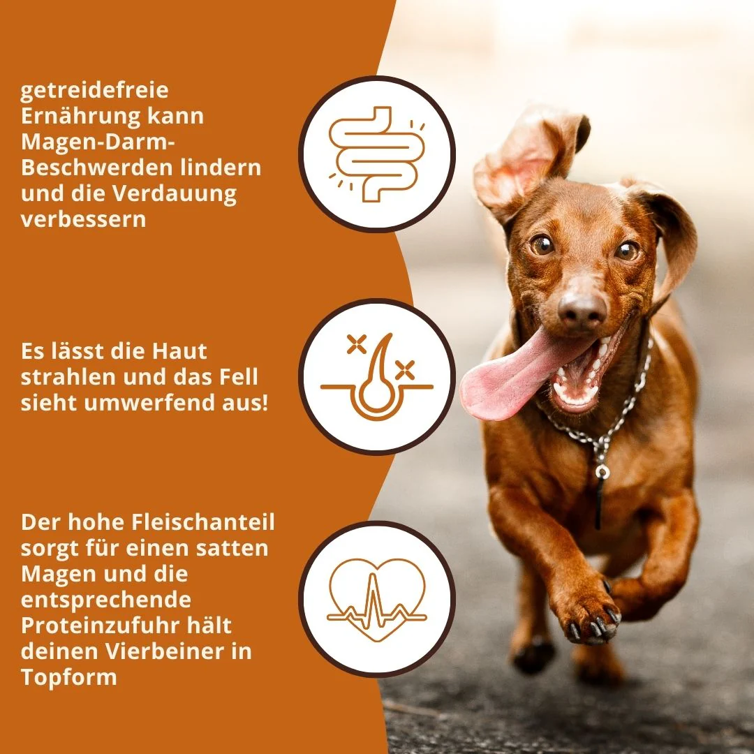 Adult Trockenfutter mit Huhn & Kräuter - getreidefrei - Image 8