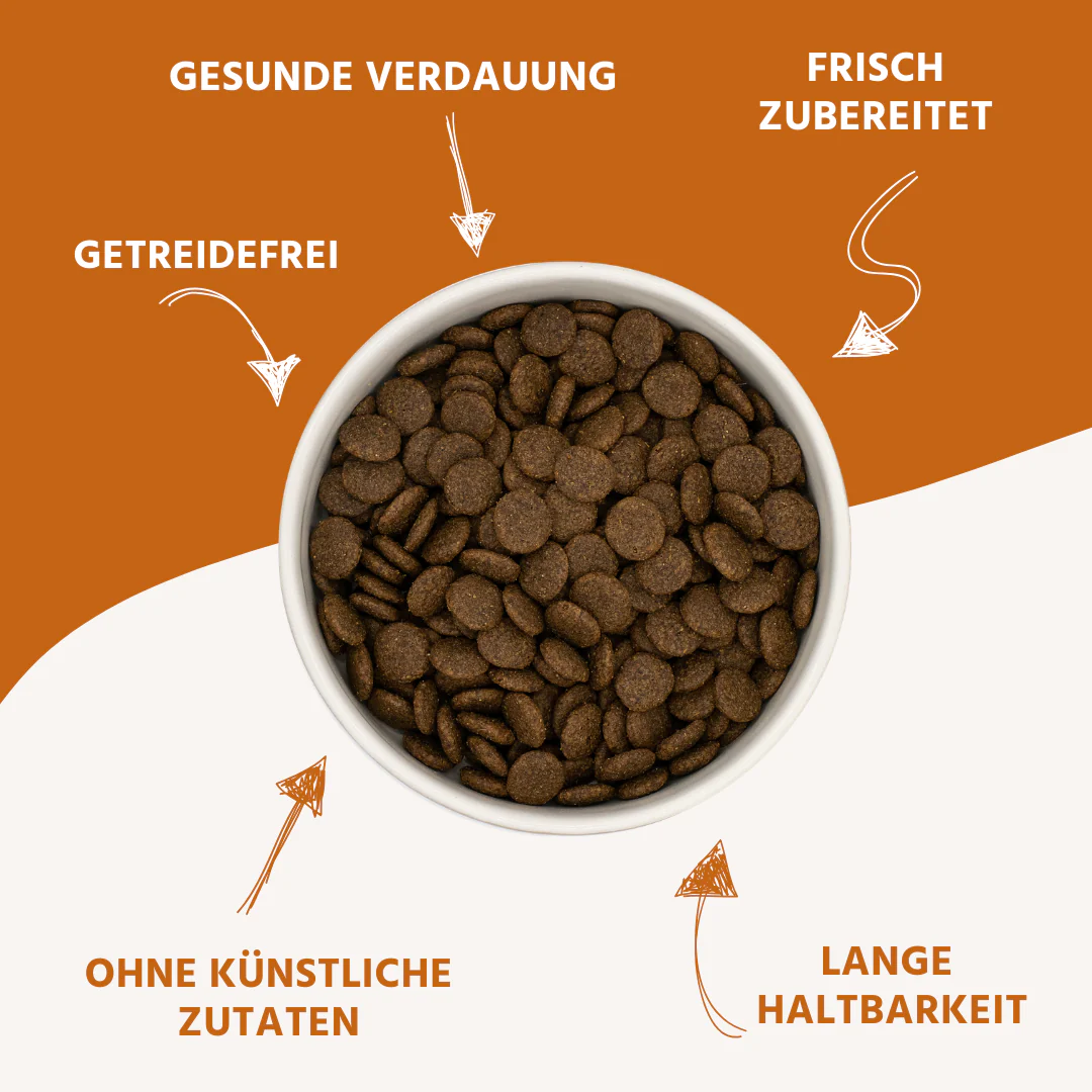 Adult Trockenfutter mit Pferd - getreidefrei - 2 x 2 kg - Image 10