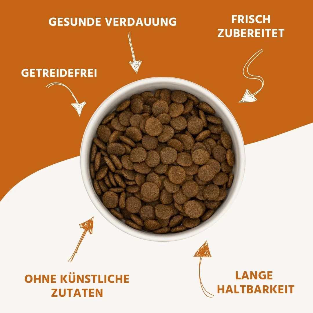 Adult Trockenfutter mit Wild - getreidefrei - Image 8