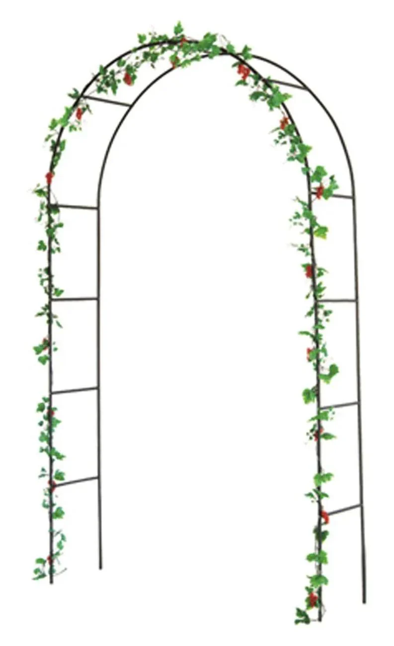 Antiker Metall-Rosenbogen für Kletterpflanzen – Schwarz, 140x240x37 cm