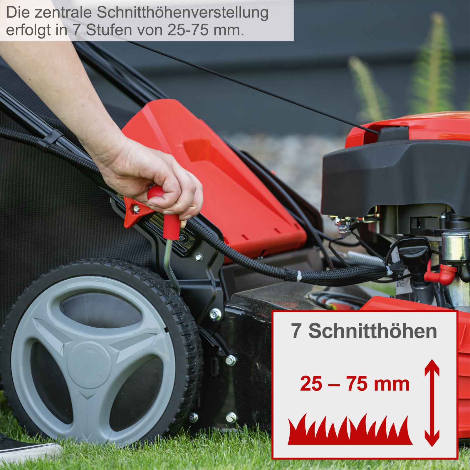 [B-WARE] Scheppach Benzin Rasenmäher MS226-53E - 6 PS | Schnittbreite 530mm | 65L Korb | E-Start - Image 2