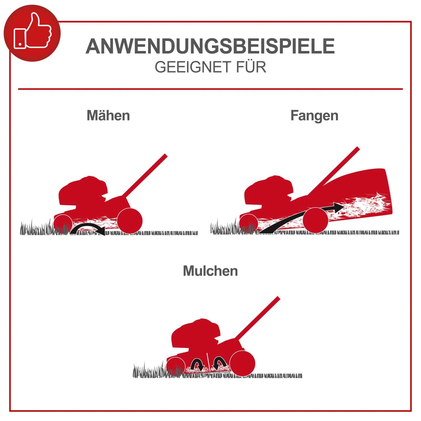 [B-WARE] Scheppach Benzin Rasenmäher MS226-53E - 6 PS | Schnittbreite 530mm | 65L Korb | E-Start - Image 6