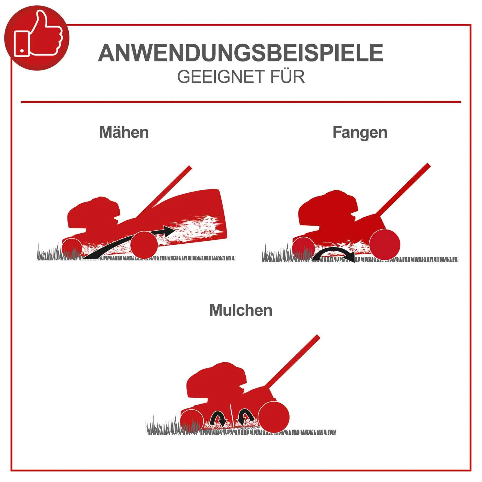 [B-WARE] Scheppach Benzin-Rasenmäher MS226-56E SE - Schnittbreite 56cm | 65L Fangbox | 6 PS - Image 6
