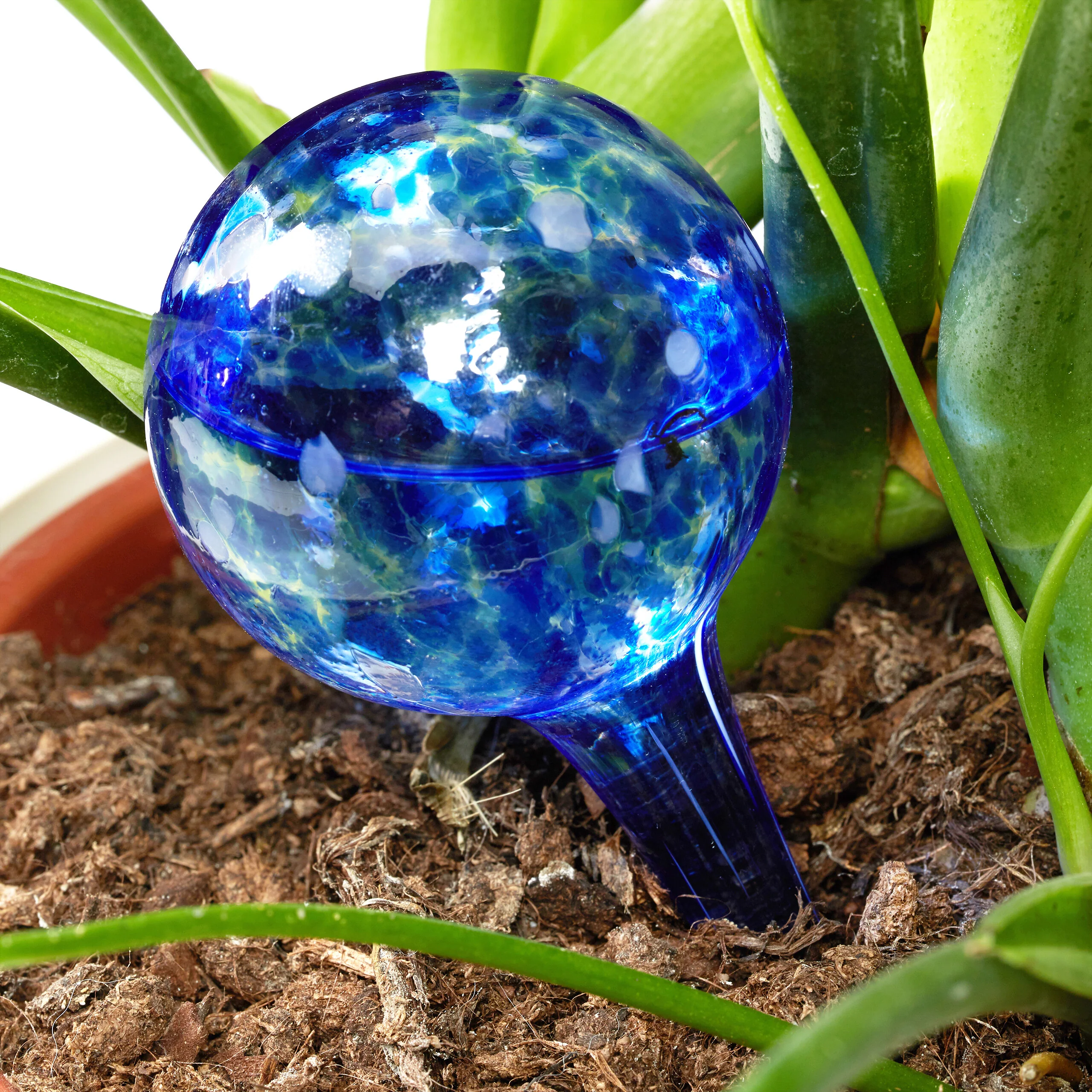 Bunte Bewässerungskugeln Glas 4er Set - Image 5