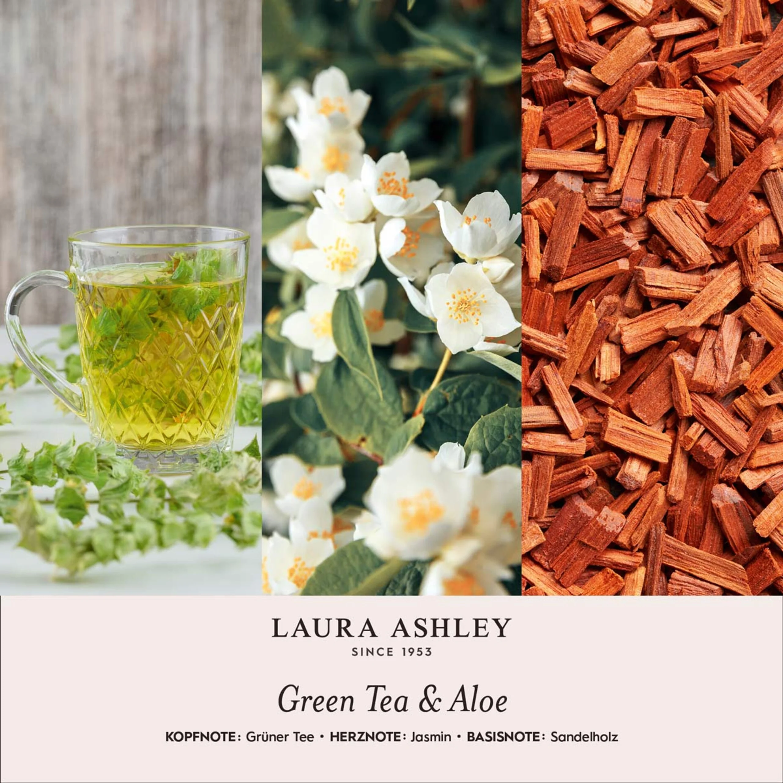 Duftkerzen Laura Ashley 400g - Image 21