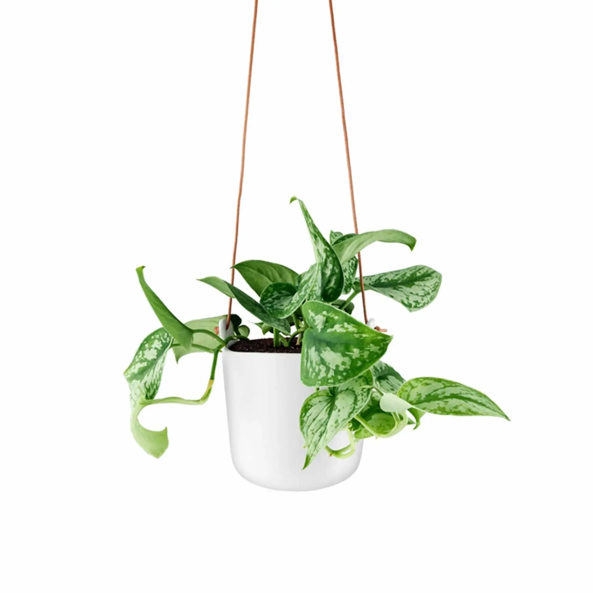Eva Solo Kräutertopf - Selbstbewässerende - Ø 15 cm