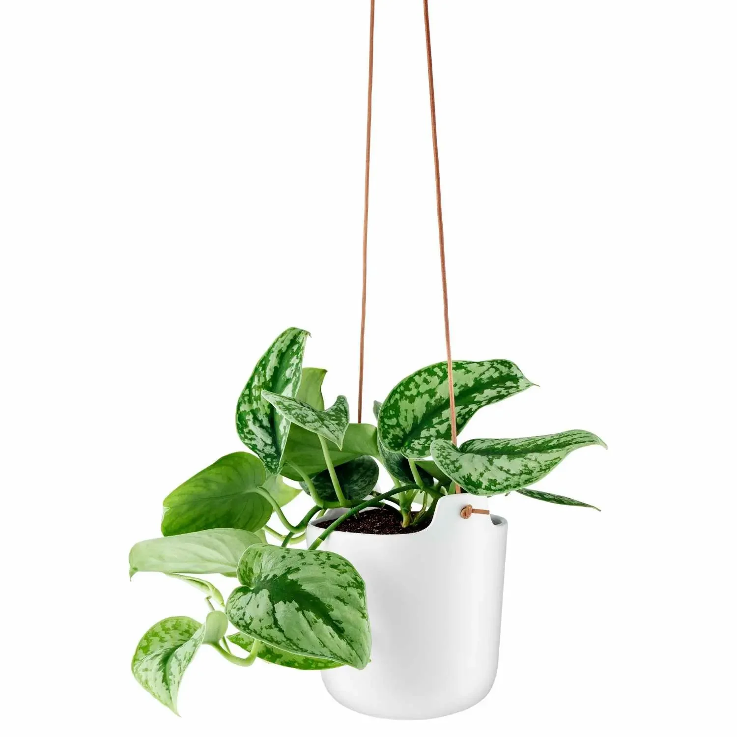 Eva Solo Kräutertopf - Selbstbewässerende - Ø 15 cm - Image 5