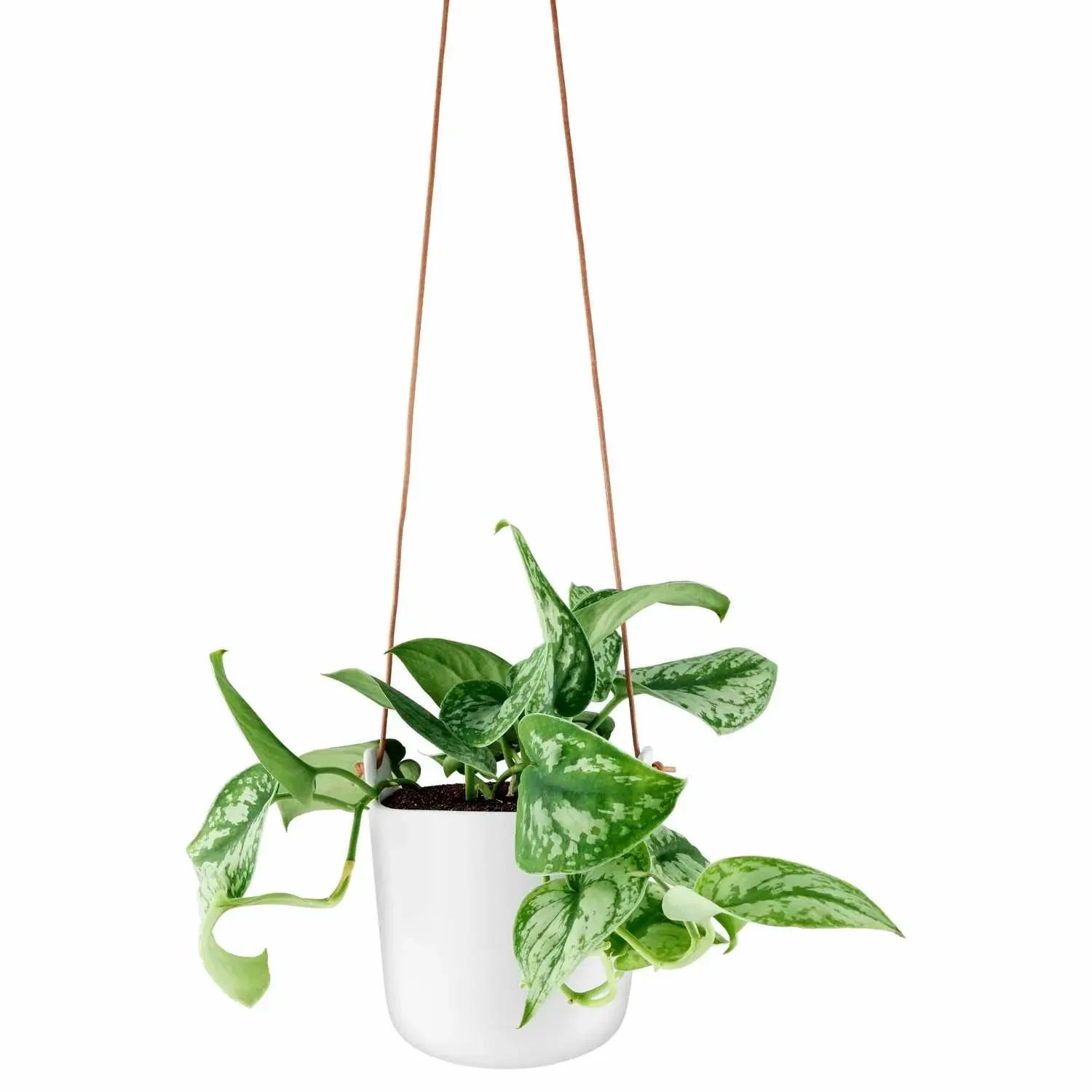 Eva Solo Kräutertopf - Selbstbewässerende - Ø 15 cm - Image 6