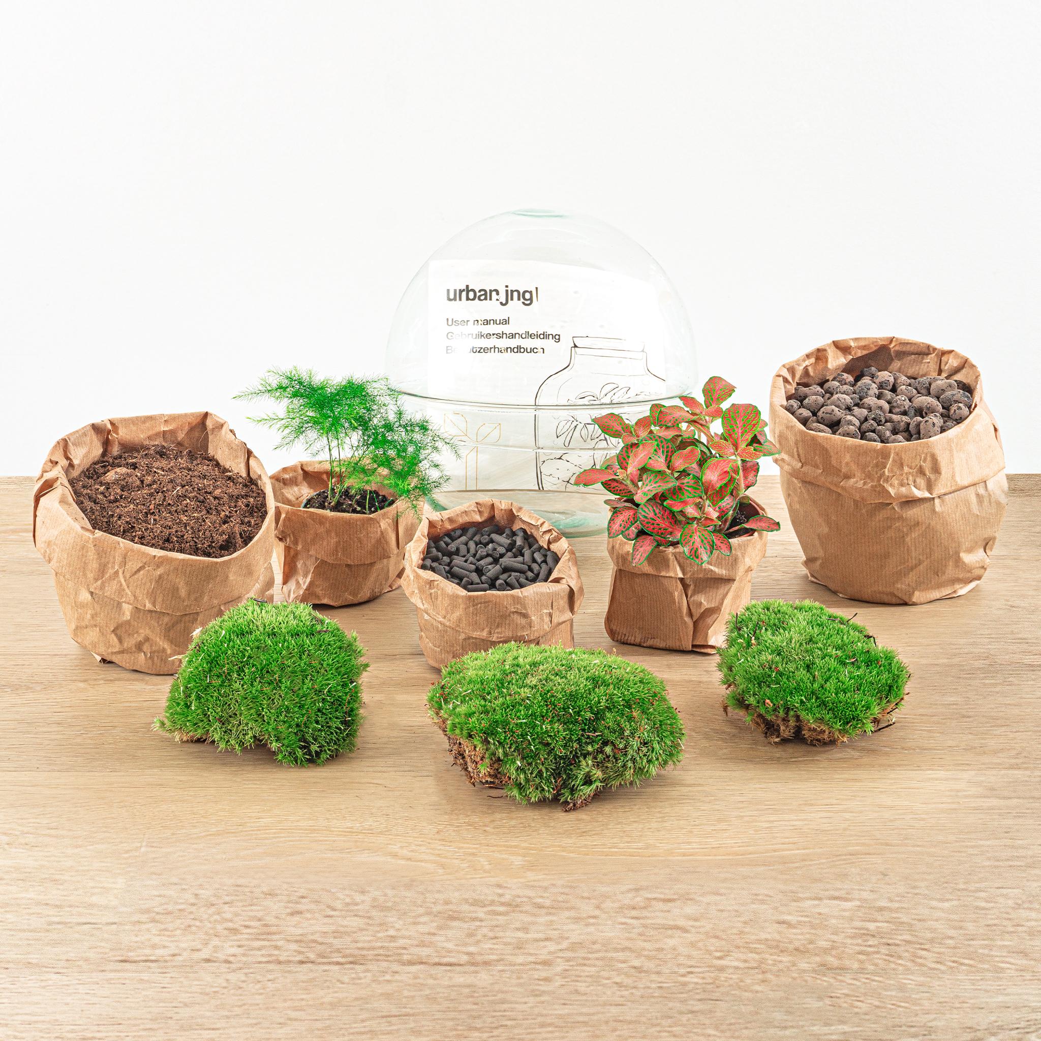 Flaschengarten "Dome" - Glaskugel - DIY-Pflanzenterrarium - 20 cm hoch - Image 3