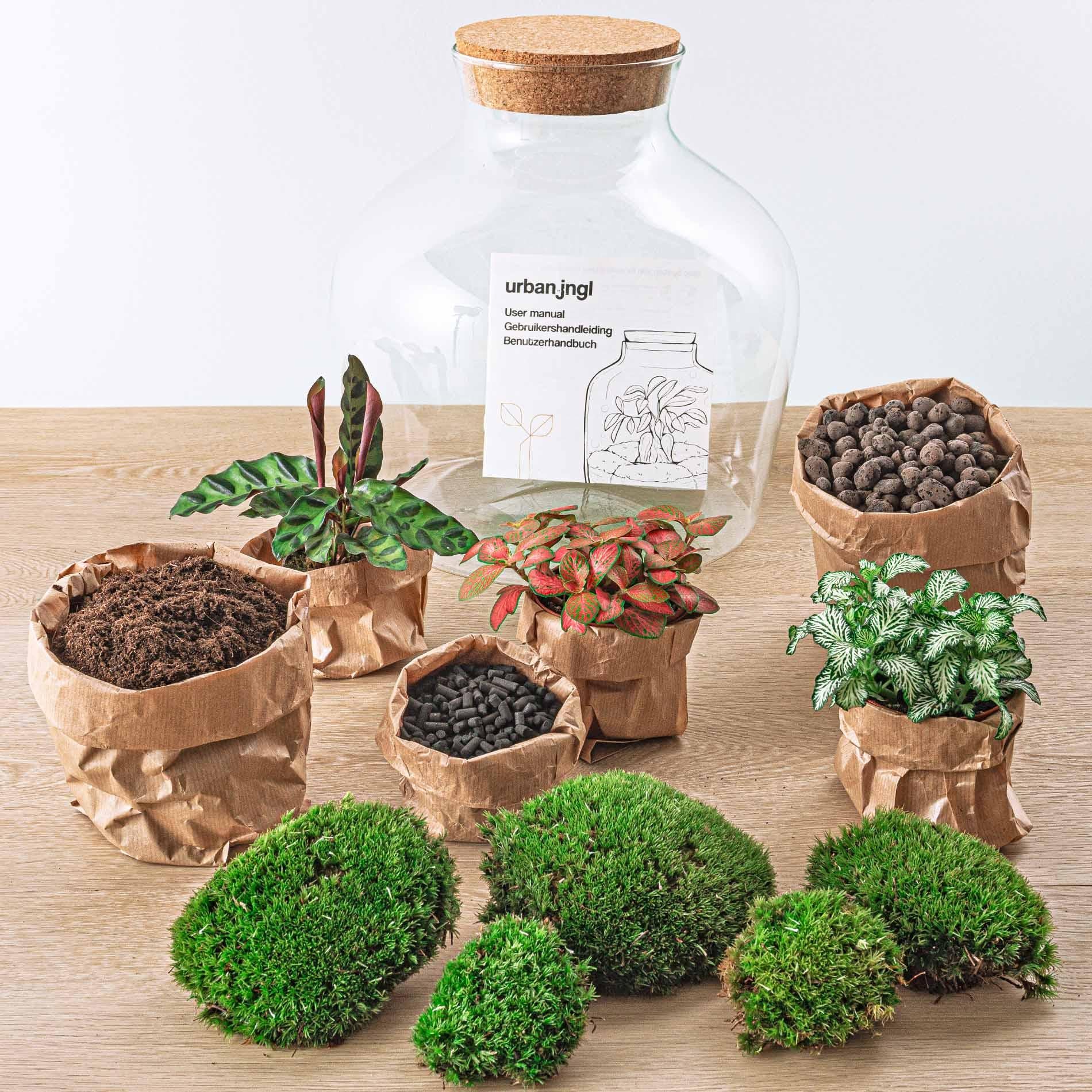 Flaschengarten "Fat Joe" - ROT - DIY-Pflanzen-Terrarium - 30cm - incl. Rechen und Schaufel