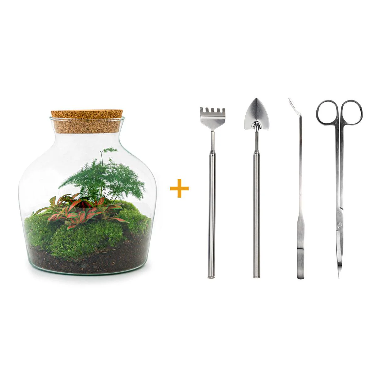 Flaschengarten Little Joe DIY-Pflanzenterrarium 21,5 cm incl. Rechen Schaufel Pinzette und Schere - Image 2