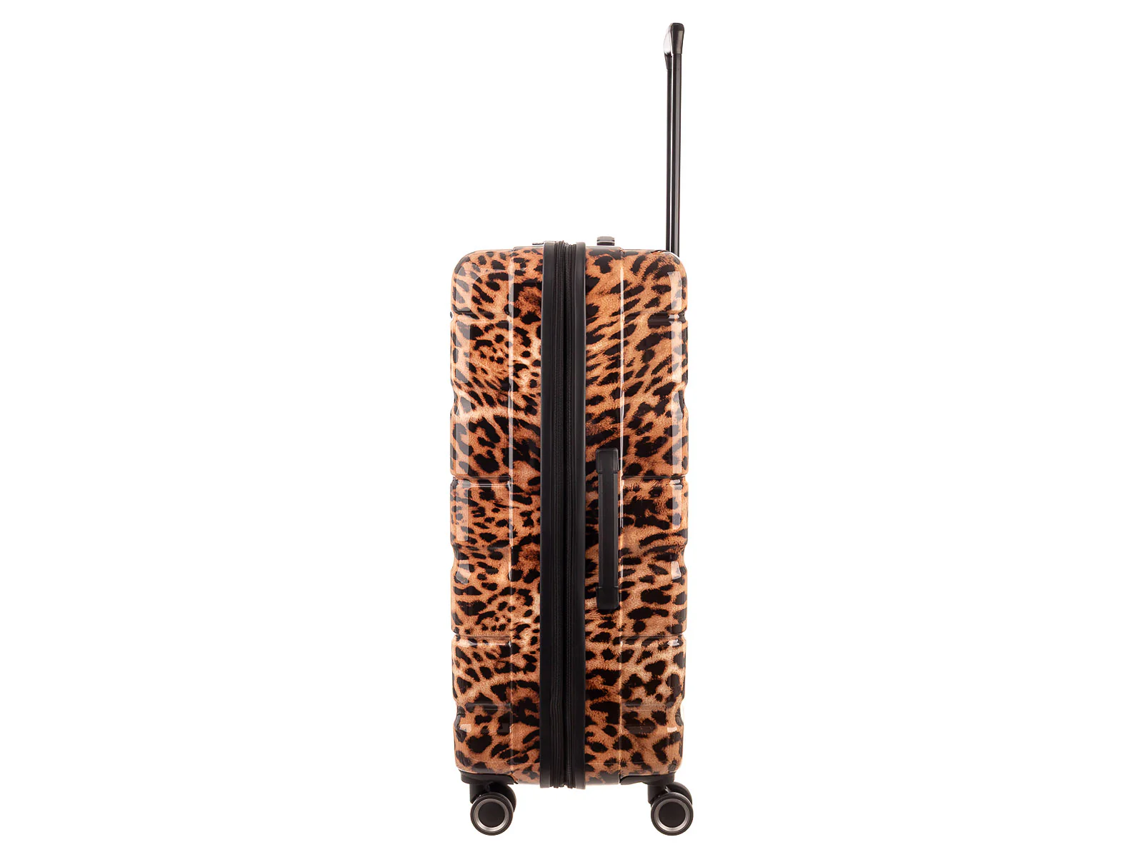 Franky PC13LEO-75DF Spinner Leopard - Image 4