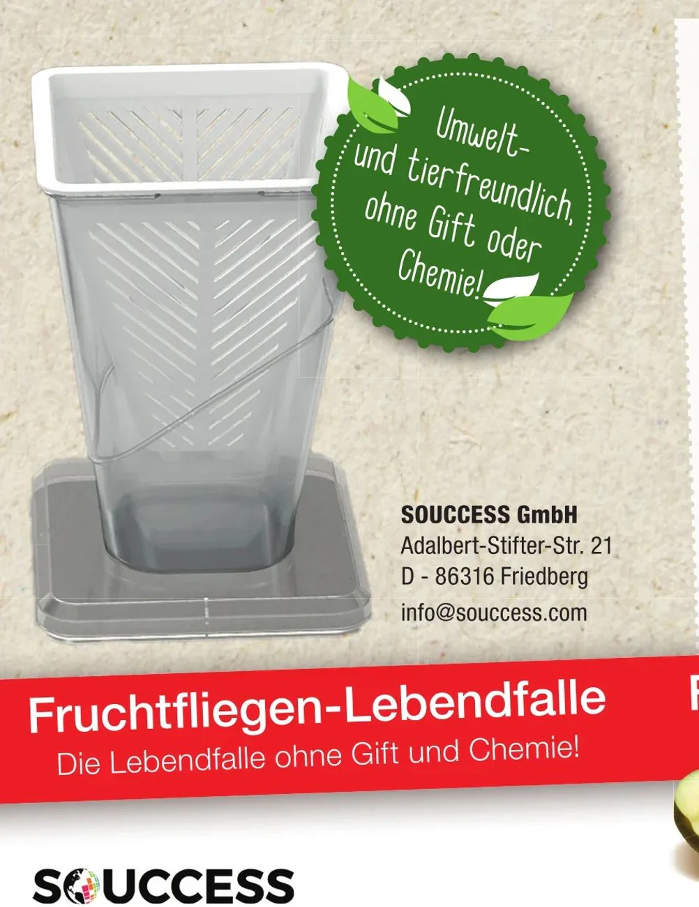 Fruchtfliegenfalle Lebendfalle für die Küche - Image 7