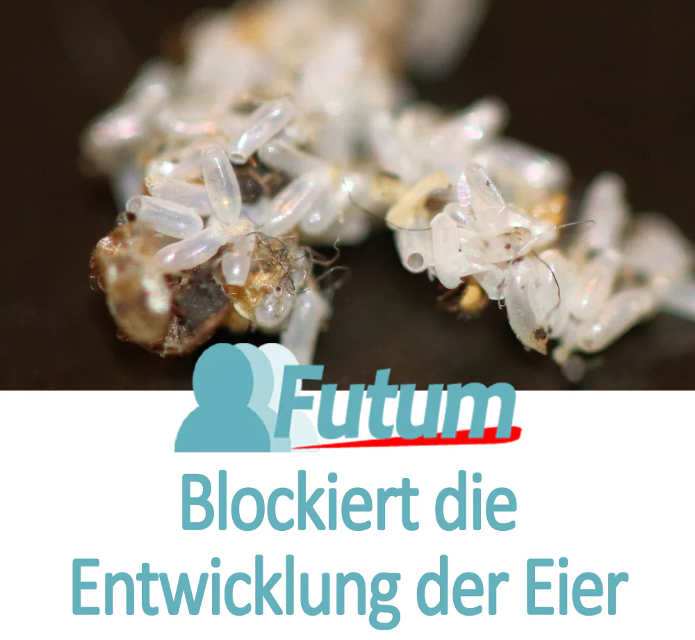 Futum 1x2 Liter +  Sprüher Wespenspray - Image 5