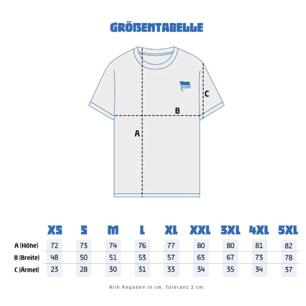 Hertha BSC H-Trikot 25/26 langarm Castore - Image 24