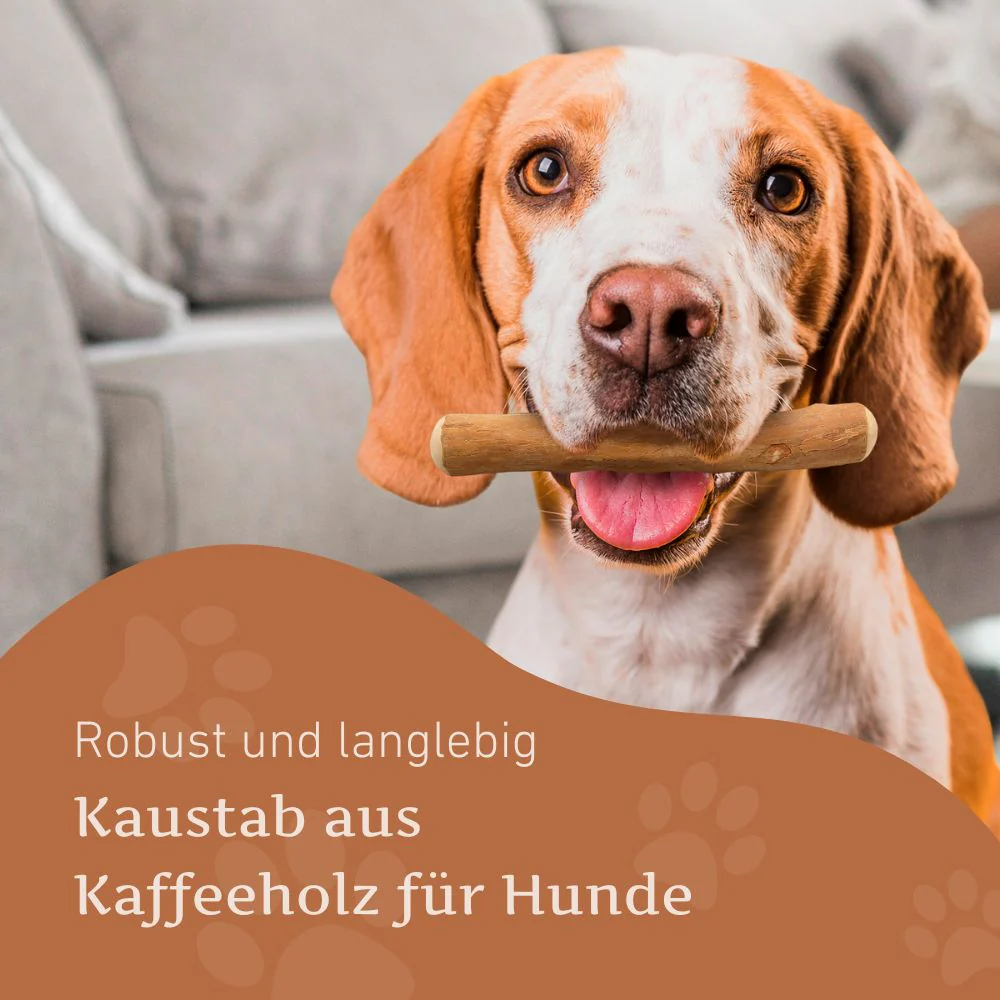 Kaffeeholz Kaustab - Image 43