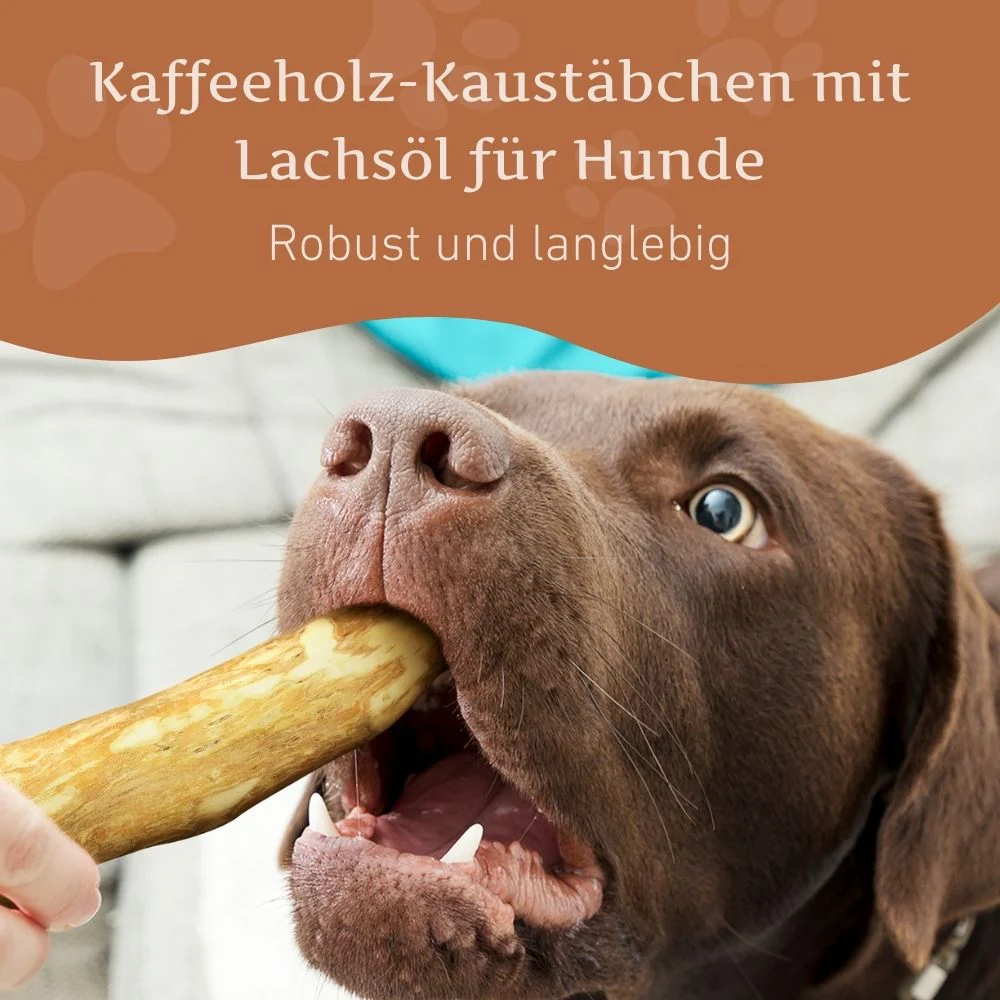Kaffeeholz Kaustab mit Lachsöl - 3er Set - Image 16