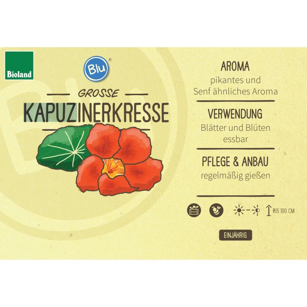 Kapuzinerkresse in BIO-Qualität - Tropaeolum majus - Kräuterpflanze im 12cm Topf - Image 3