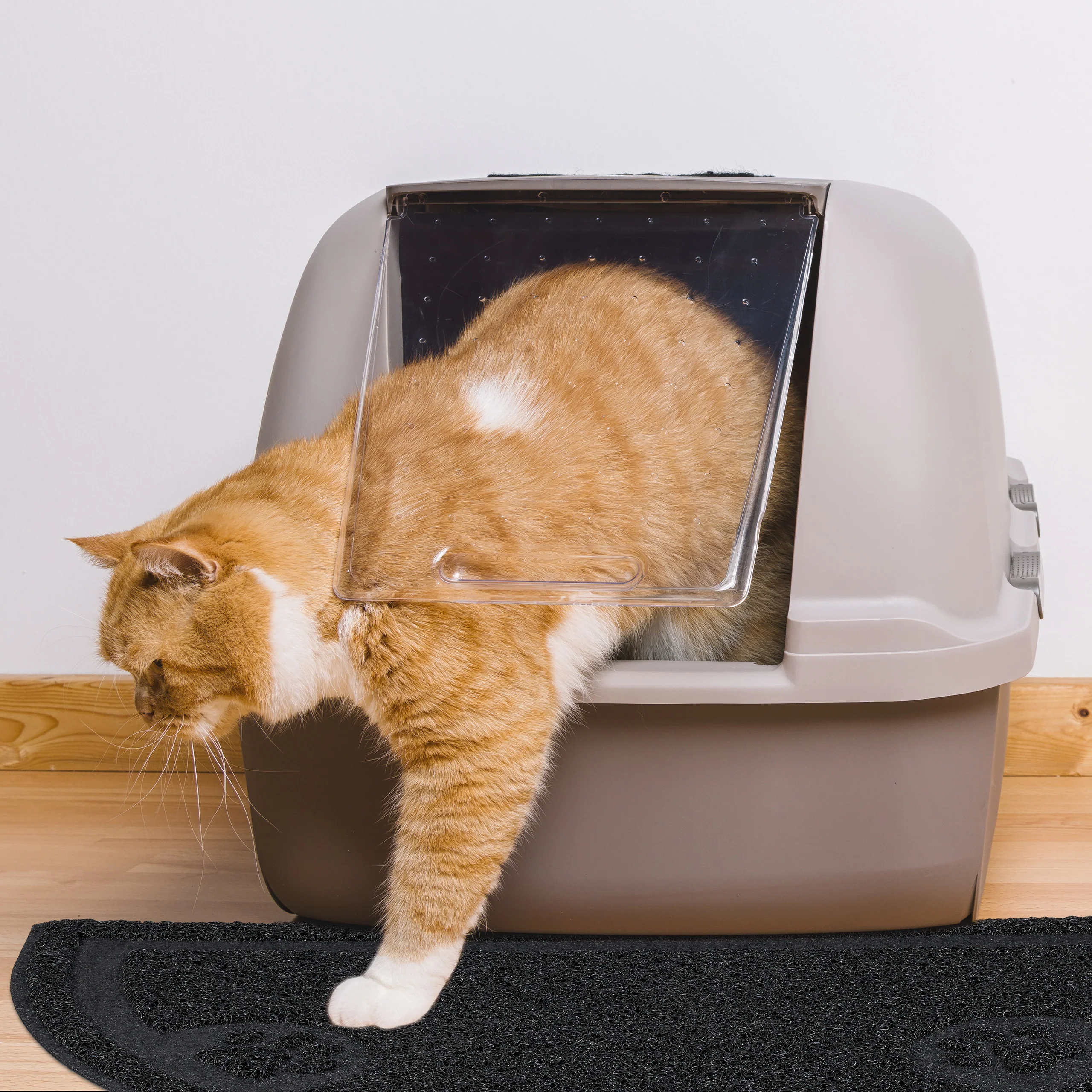 Katzenklo Matte - Image 3
