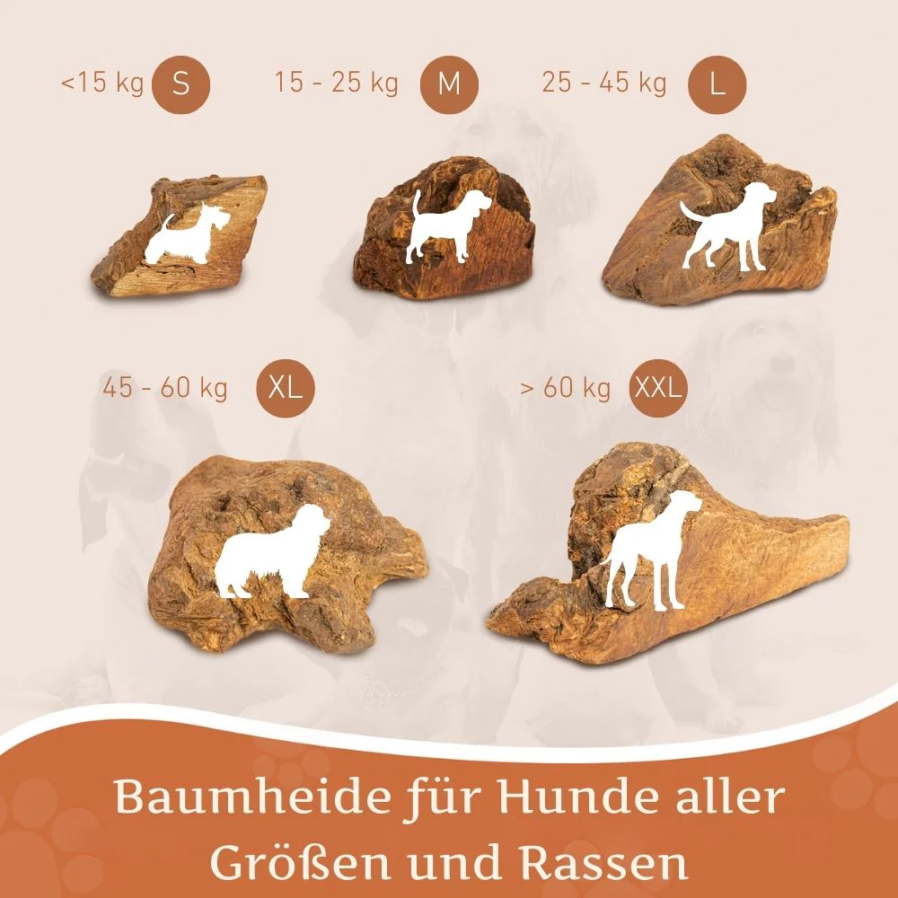 Kauwurzel aus Baumheide - Image 21