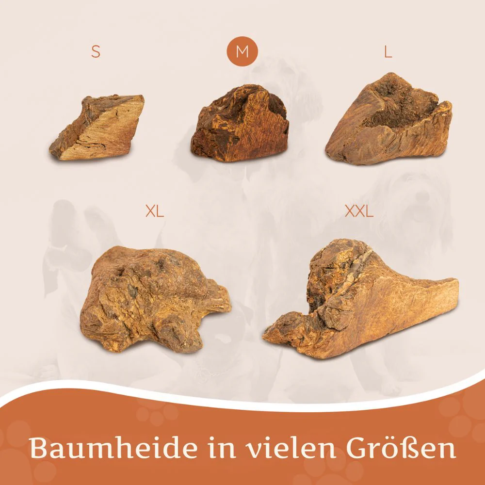 Kauwurzel aus Baumheide - Image 27