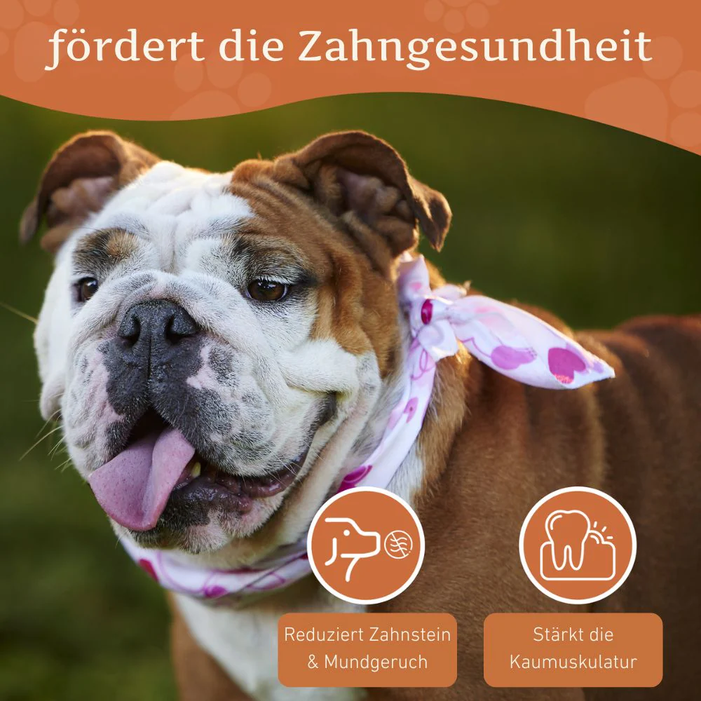 Kauwurzel aus Baumheide - Image 48