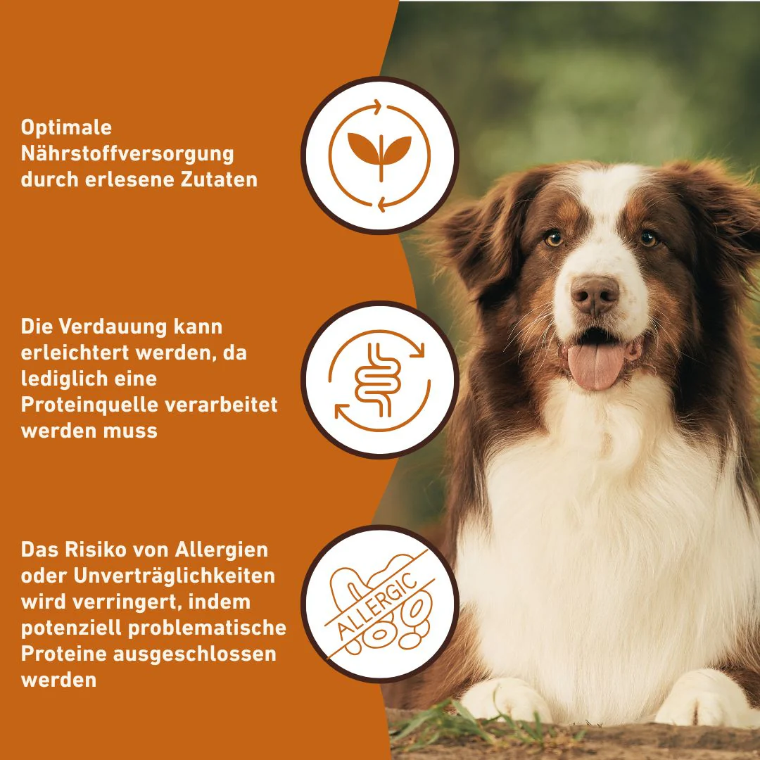 Nassfutter Pferd pur - BARF Qualität - Image 5
