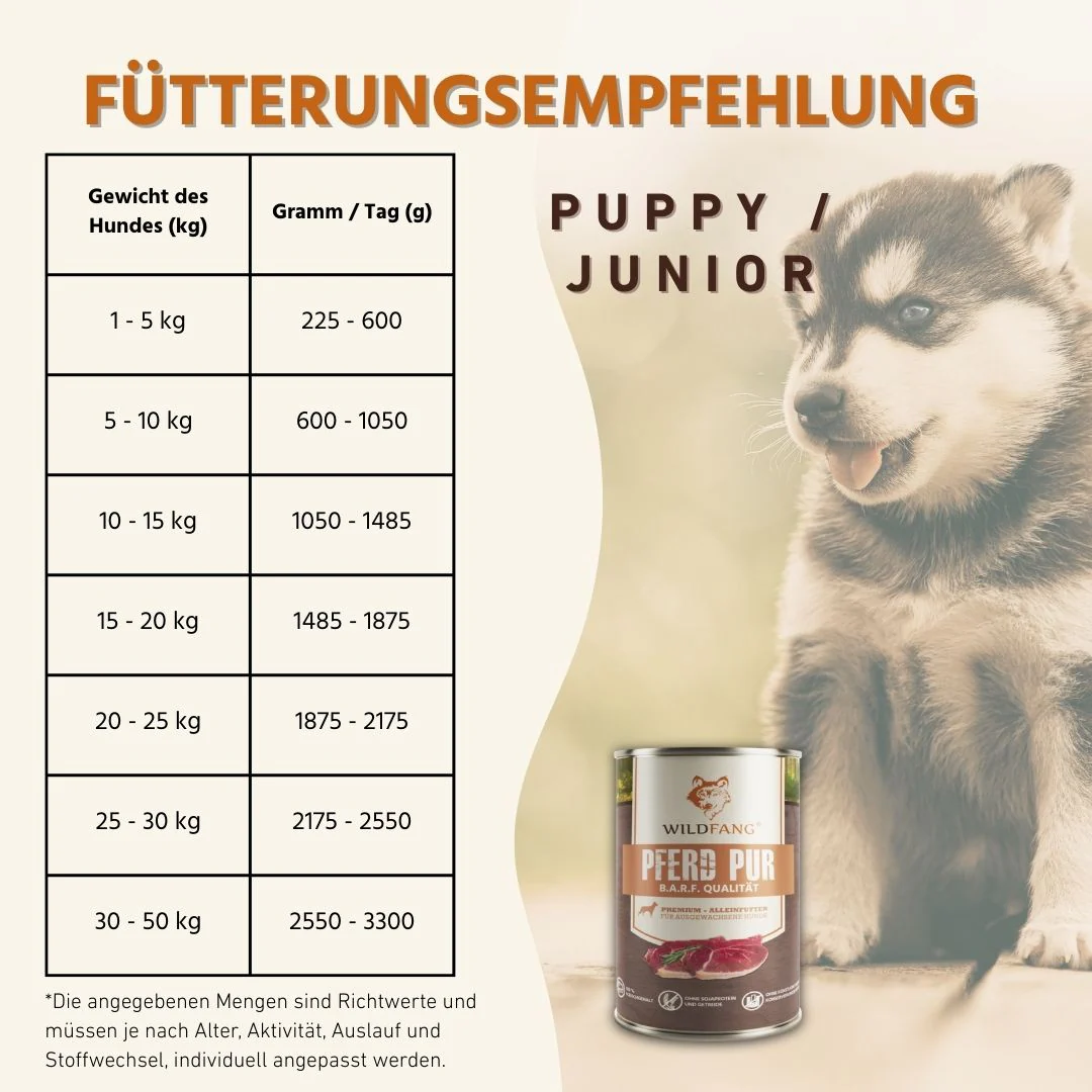 Nassfutter Pferd pur - BARF Qualität - Image 16