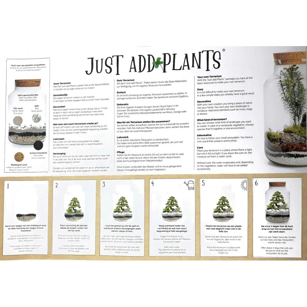 Pflanzen-Terrarium zum Selber Pflanzen Just Add Plants"" - Image 5
