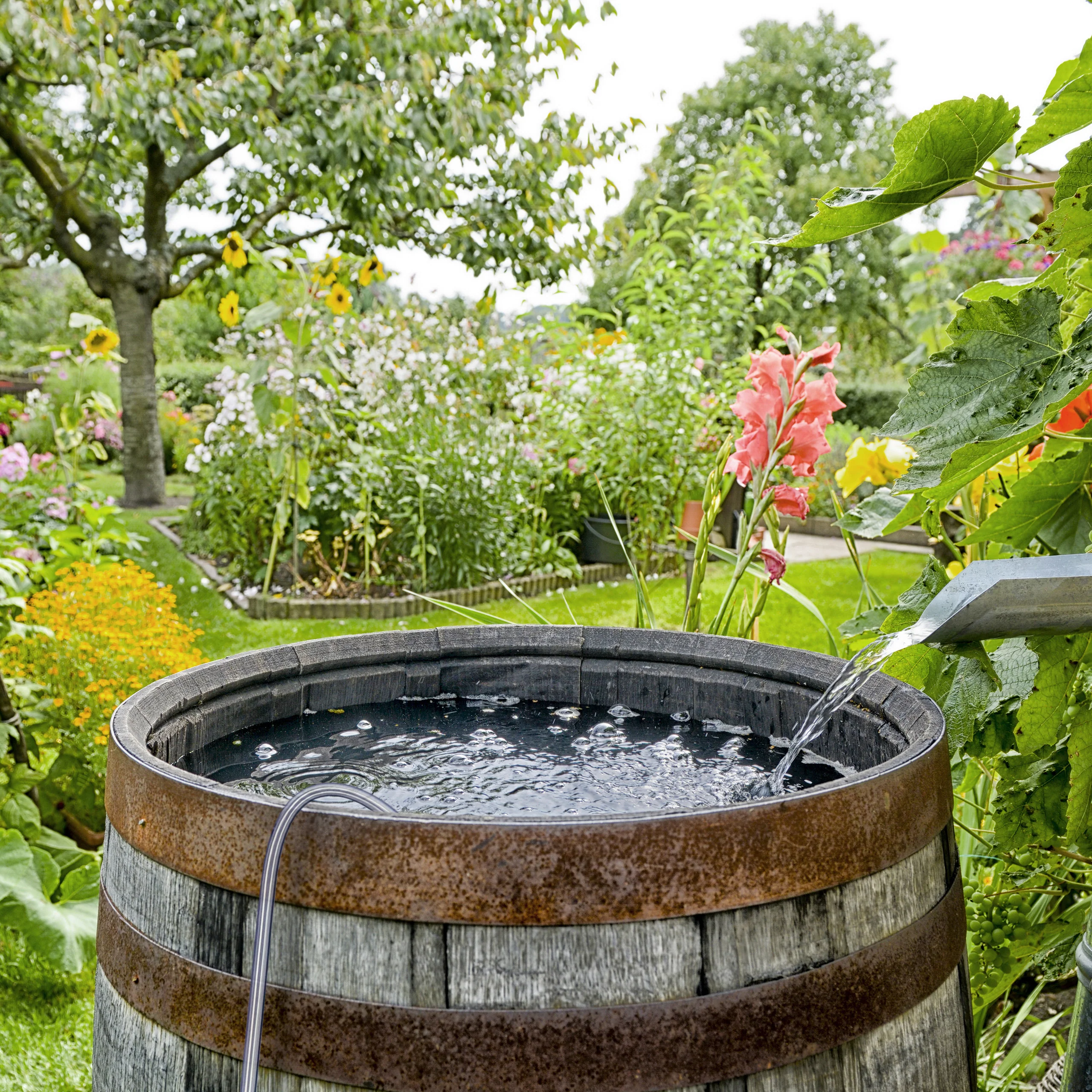 Pumpschlauch zum Umfüllen 187 cm - Image 5