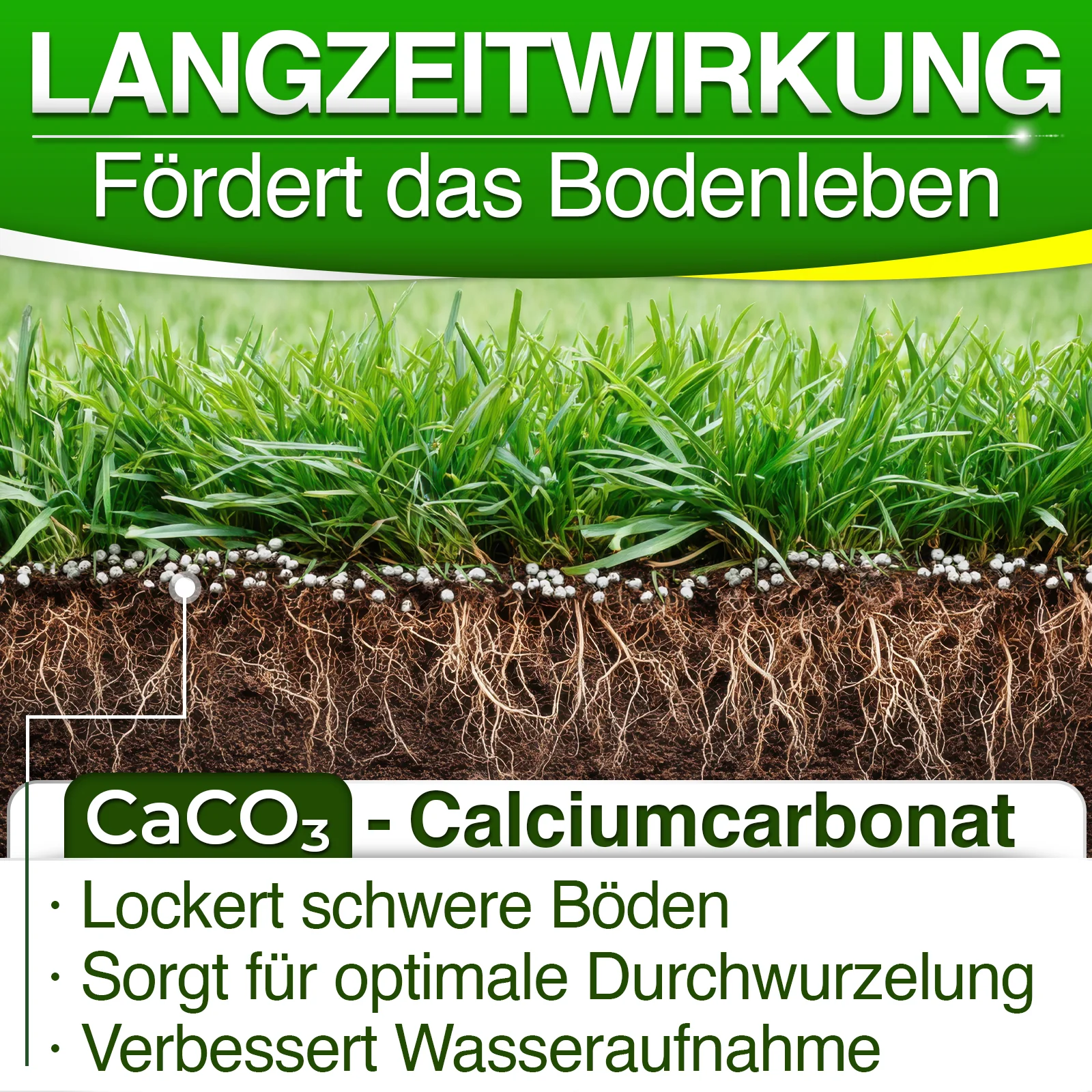 Rasenkalk 30 kg – hochwertiger Rasen- & Gartenkalk zur pH-Optimierung und Bodenverbesserung - Image 4