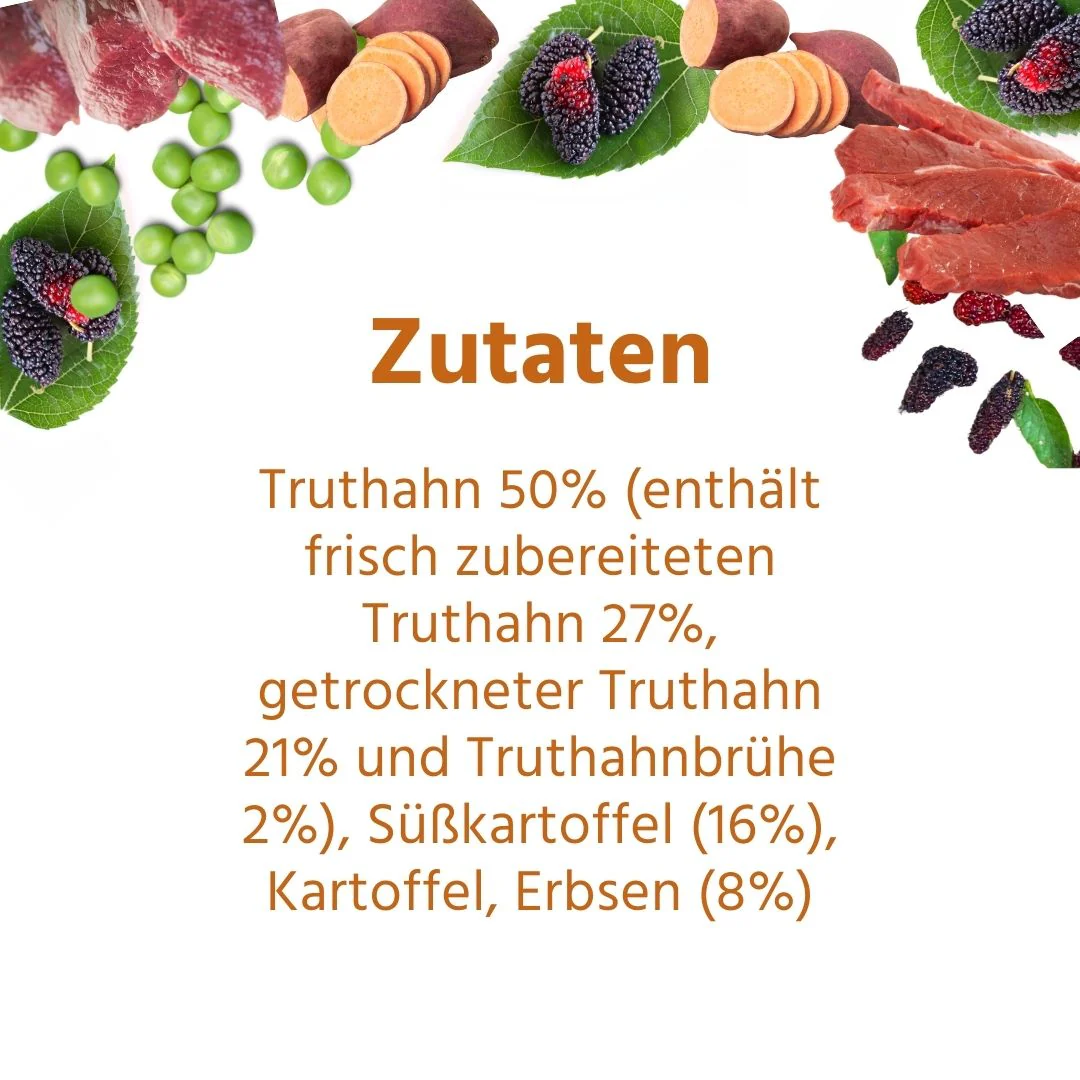 Sensitive Trockenfutter mit Truthahn - getreidefrei - Image 6