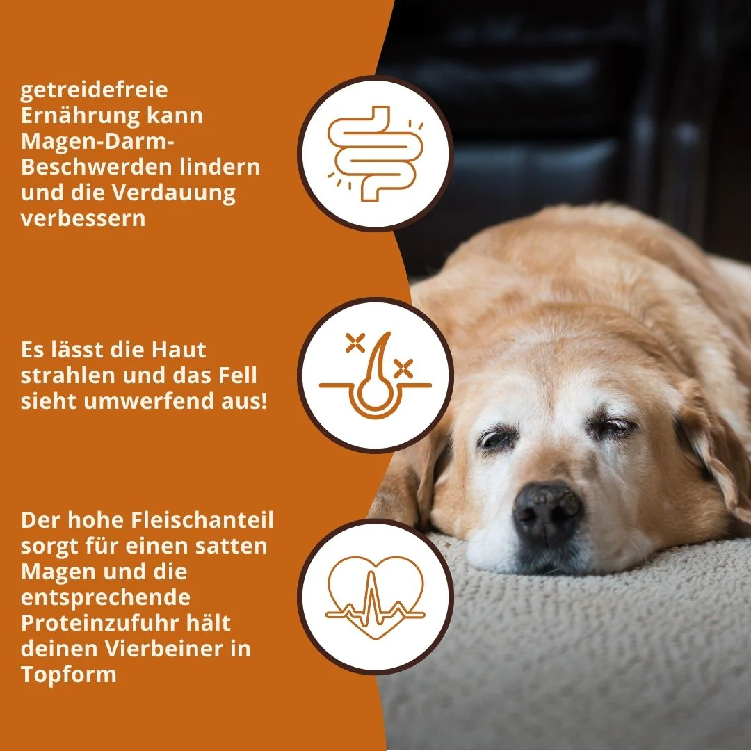Sensitive Trockenfutter mit Truthahn - getreidefrei - Image 8