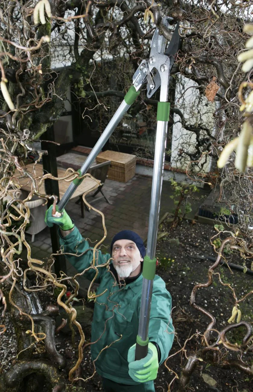 Teleskop-Astschere mit Ratschenfunktion und längenverstellbarem Griff - Image 9