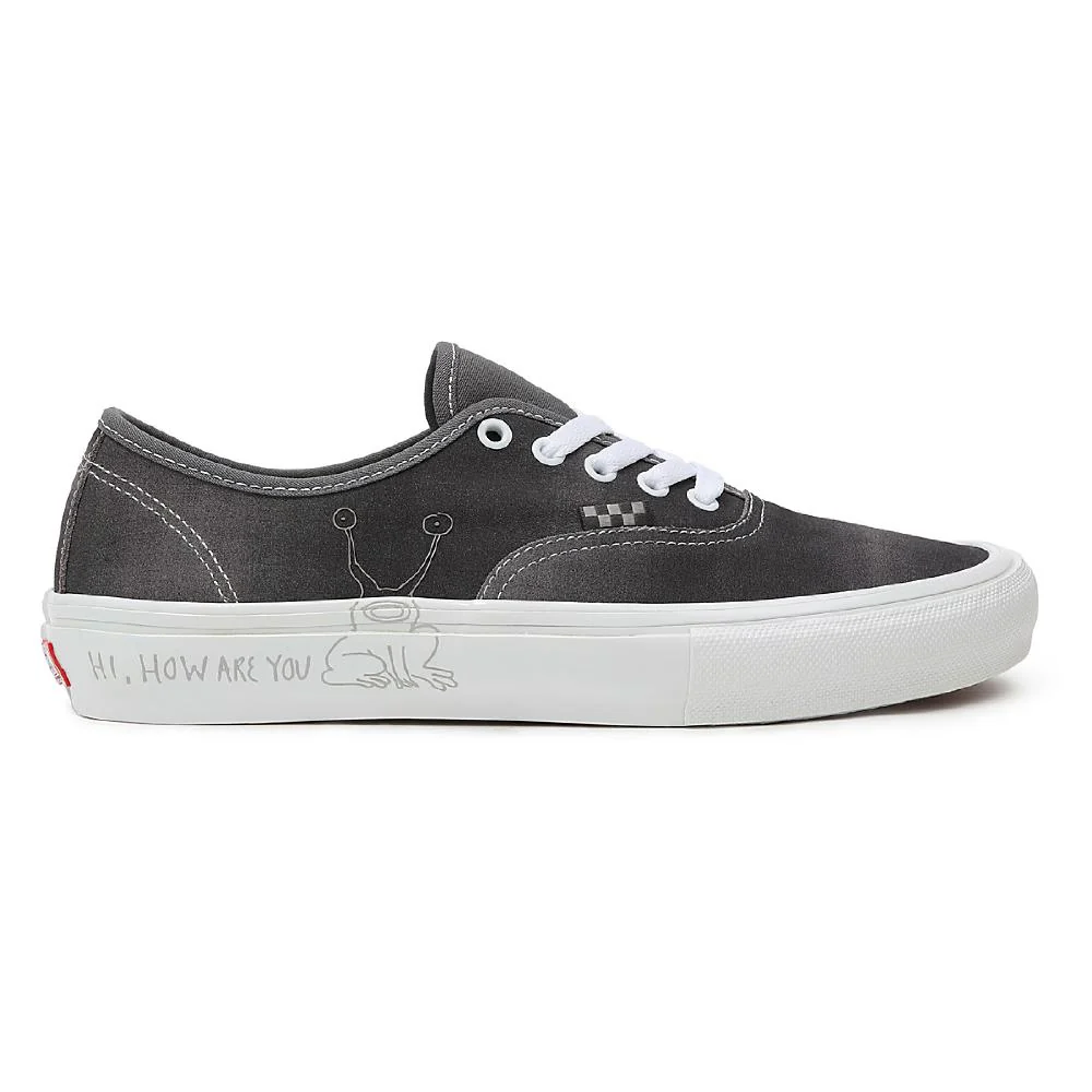 Turnschuhe Mann Vans Daniel Johnston Skate Authentic Grau - Image 8