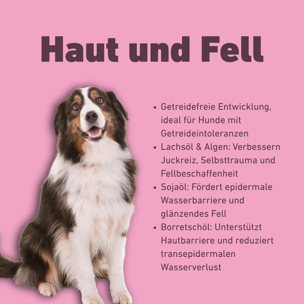 VetLine Trockenfutter mit Peptiden für Hunde - Haut und Fell - 2 x 1,5 kg - Image 14