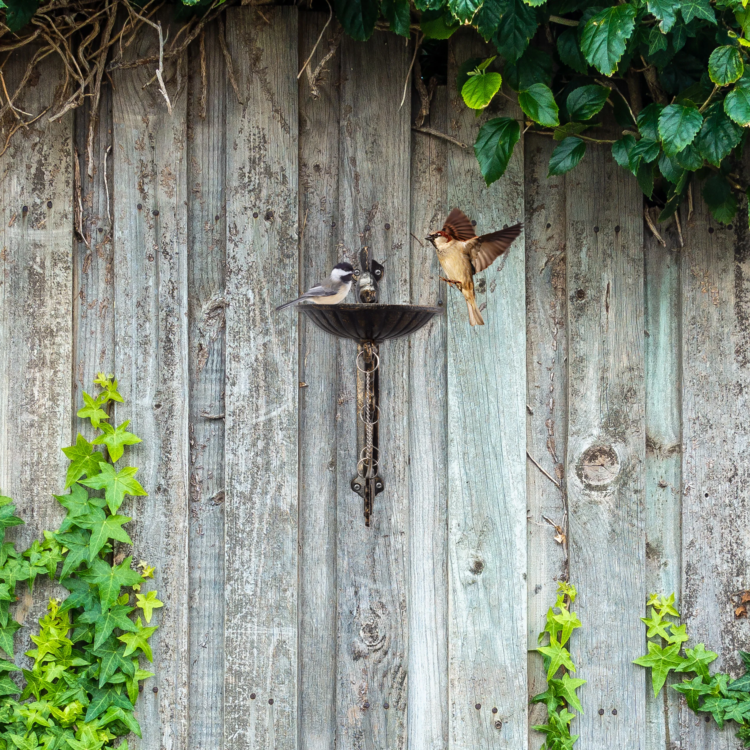 Vogeltränke Welcome - Image 9