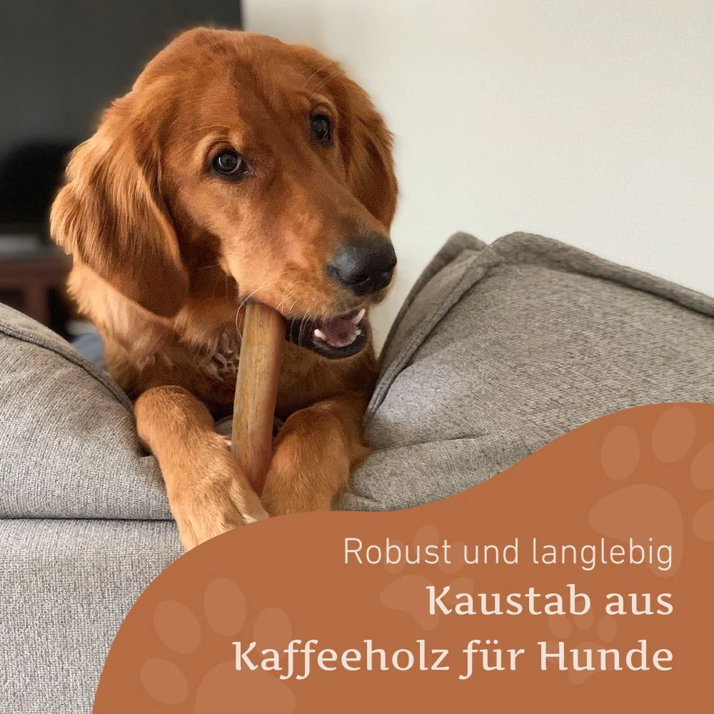 Welpen Paket "Willkommen Fellnase Mini" - Image 2