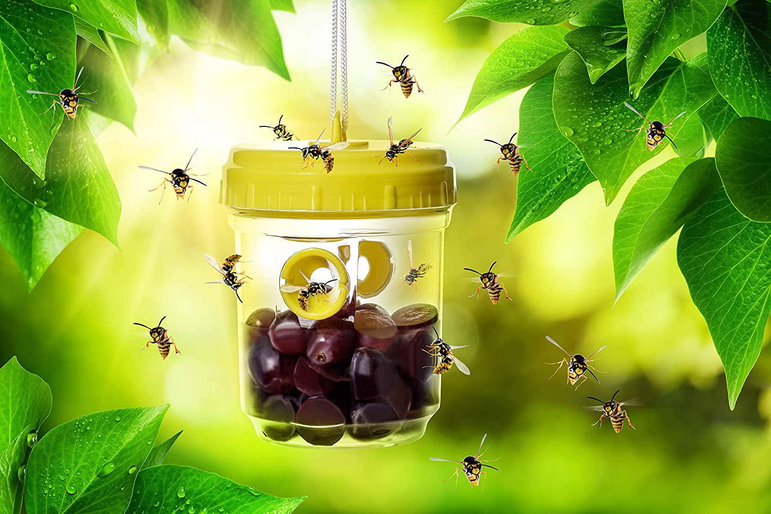 Wespen Abwehr 3er Set ohne Chemie Insektenfalle - Image 3