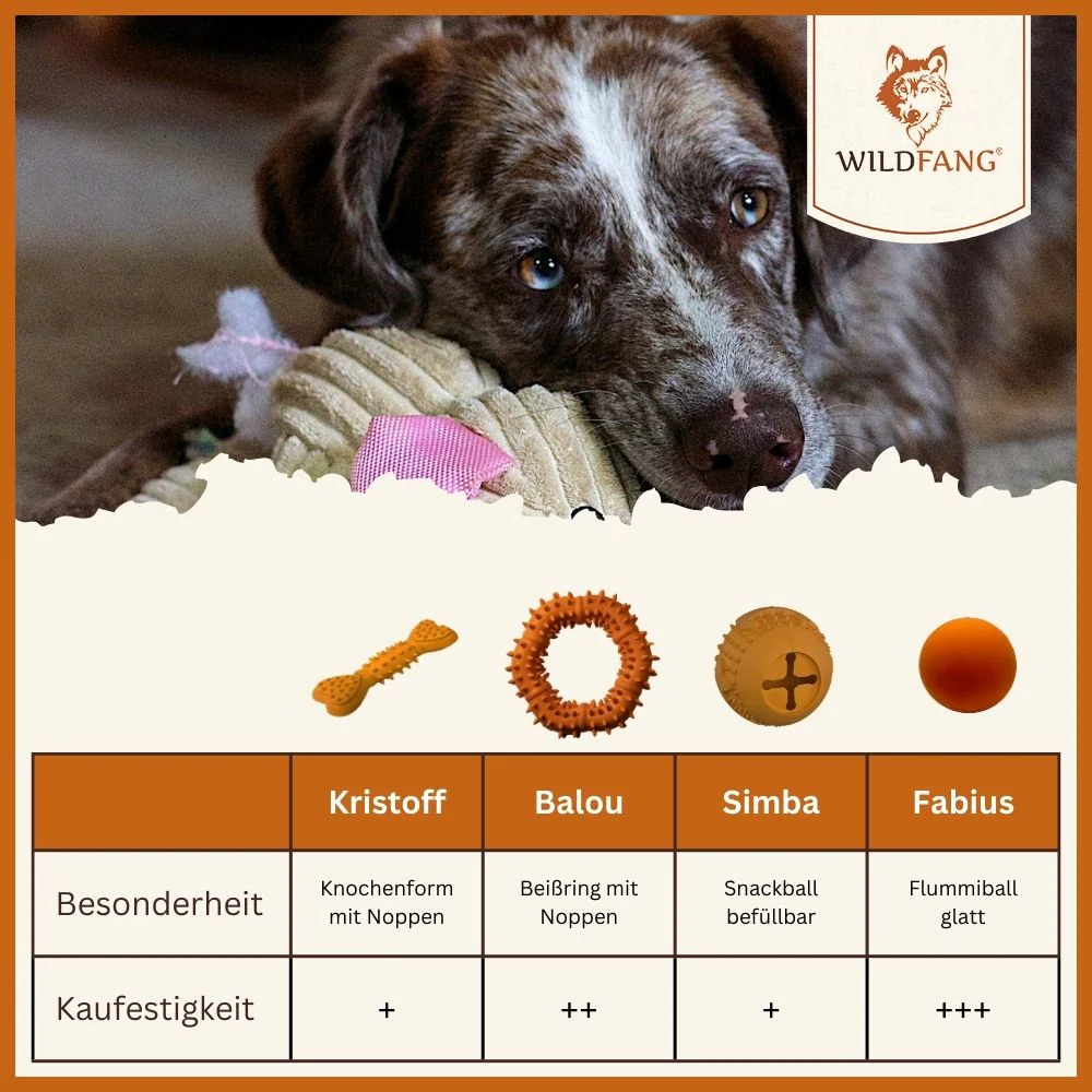 Wurfkürbis "Winnie" - Image 8