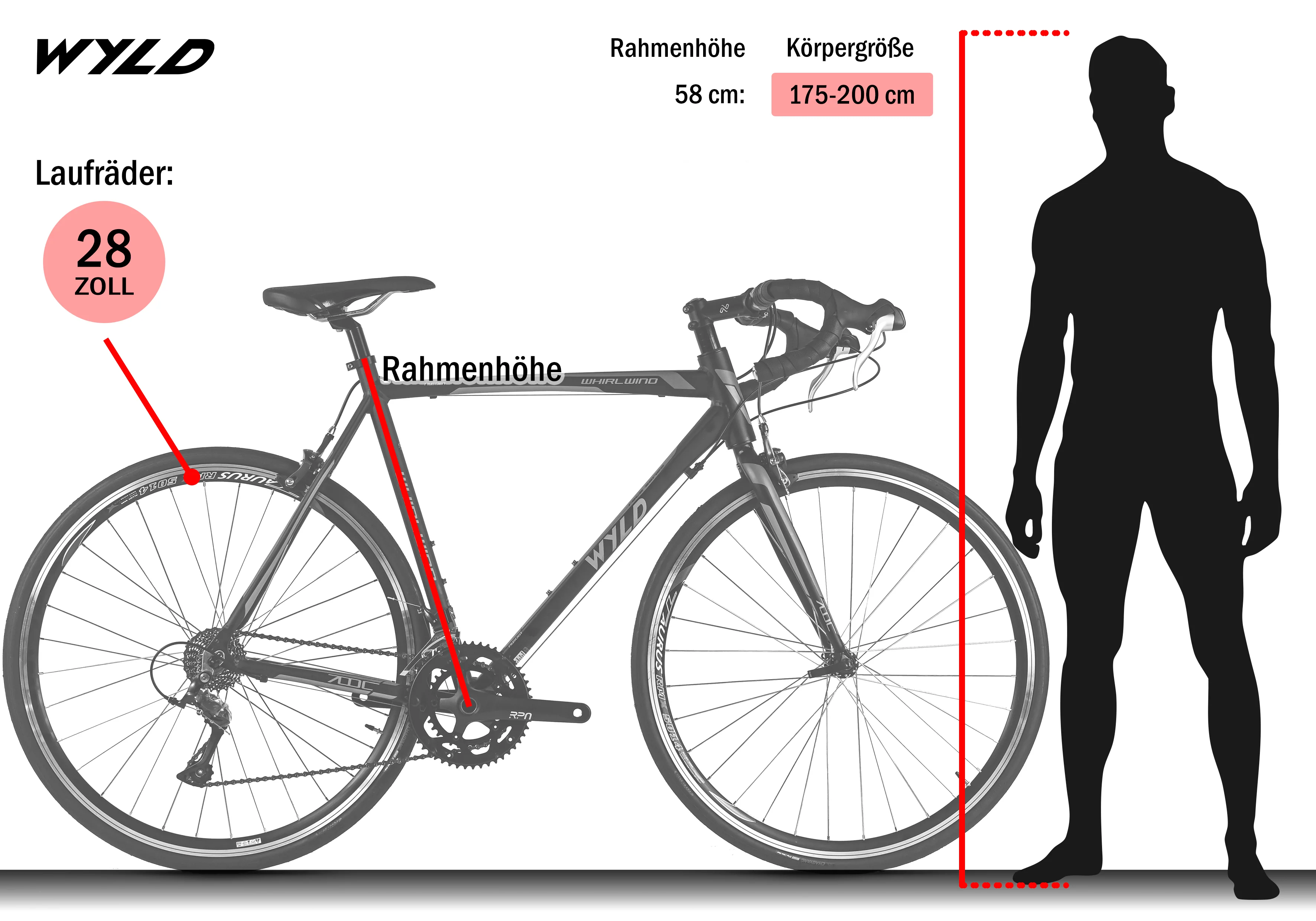 WYLD Rennrad 28'' Whirlwind 200 Schwarz-Lila 18 Gänge RH 58 cm - Image 2